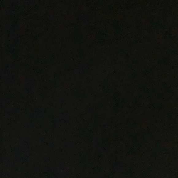 rae_palomino